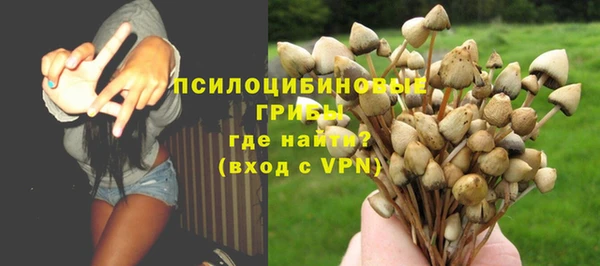 хмурый Карталы