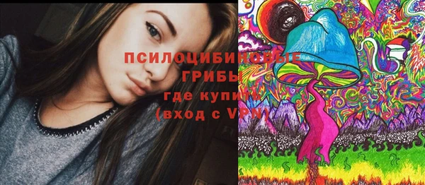 шишки Касимов