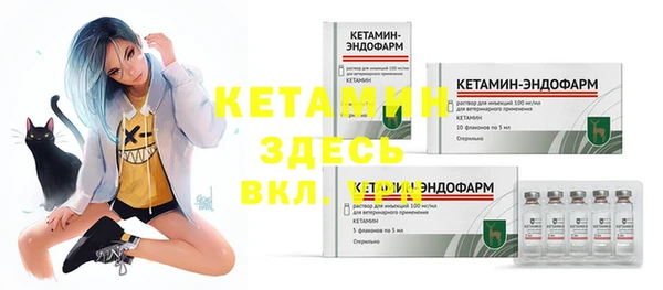 шишки Касимов