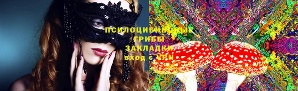 хмурый Карталы